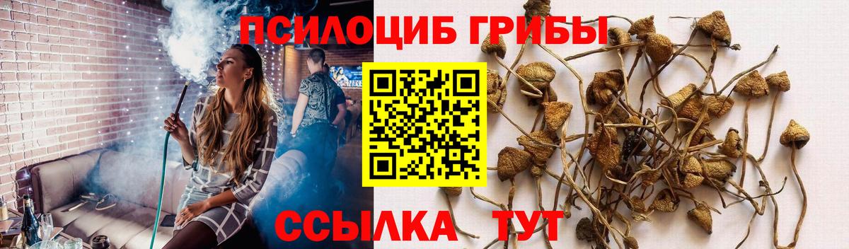 Галлюциногенные грибы ЛСД  Вход с VPN  Галлюциногенные грибы Psilocybe  Острогожск 